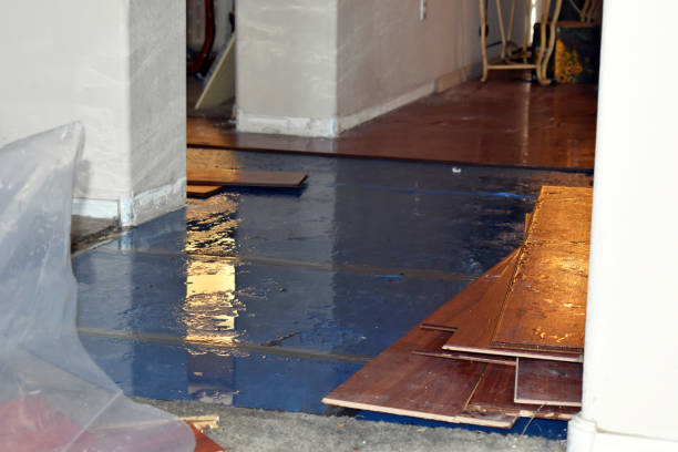 Professional Water Extraction technician working in Pine Island, TX